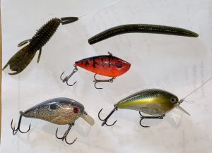 One of the Deadliest Bass Baits - Heddon Zara Spook - Jackson Kayak