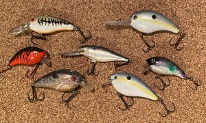 zmanfishingproducts has led the evolution of the ChatterBait over the years  into a “legendary” status amongst bass fishing lures.