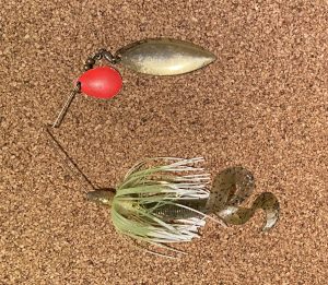 Creature Bait Fishing - Best Rigging for Largemouth & Smallmouth Bass! -  Kraken Bass