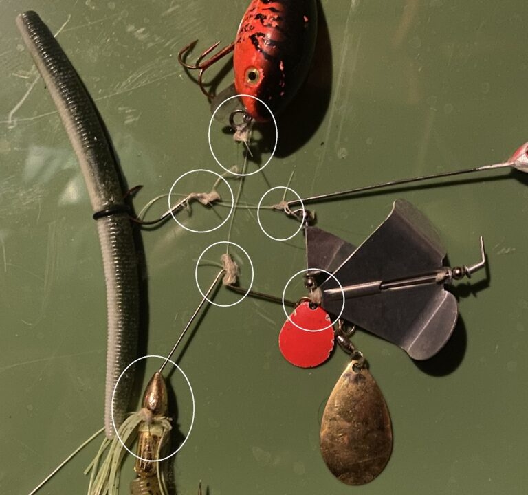 Prowl the Canal May Notes Troy Jackson Outdoors